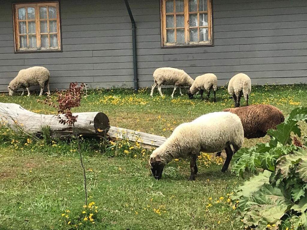 Parque La Pajarera 호텔 푸에르토바라스 외부 사진